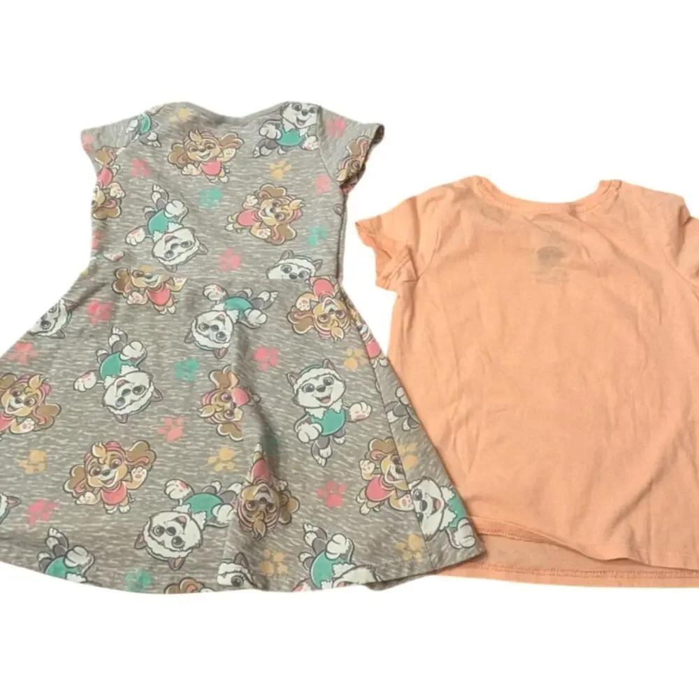 Paw Patrol Dress and T-Shirt Skye and Everest